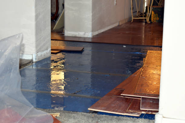 Professional Basement Flood Cleanup technician working in Lattimore, NC